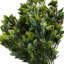 75 cm H Faux Plant-127681119
