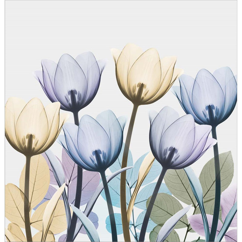 «Tulip Collage 1» par Albert Koetsier, impression sur toile tendue