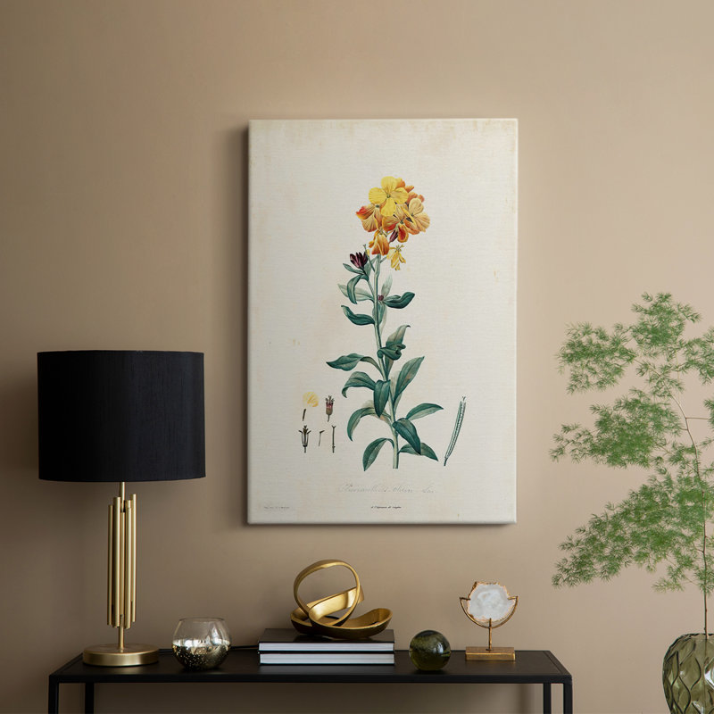 Traditional Botanical III - Gallery Cavas, H 18 po x l 12 po