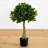 Bay Leaf Topiary Silk Tree