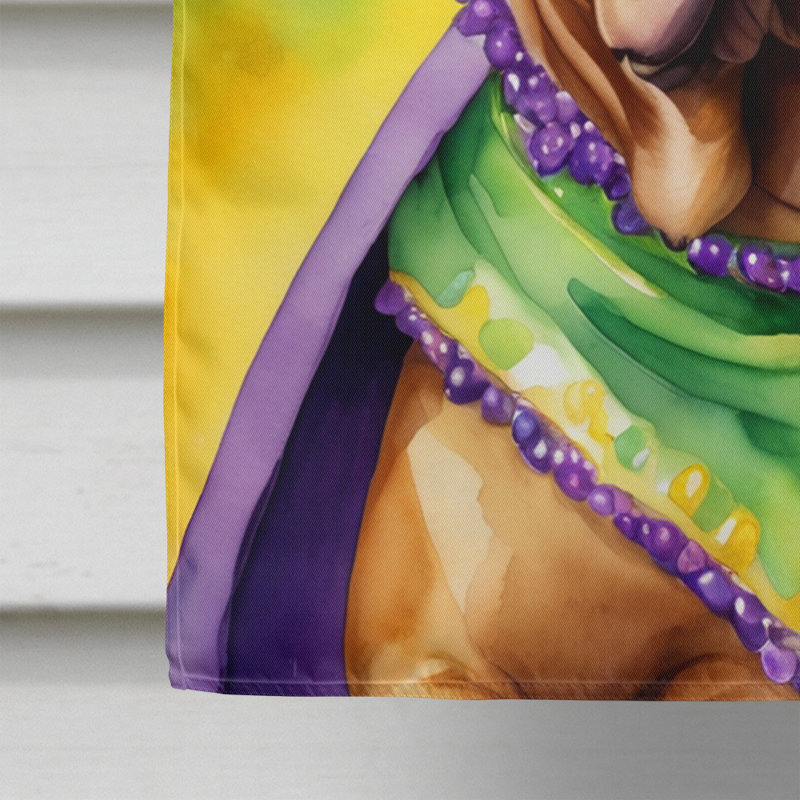 Double Sided 40'' H x 28'' W Polyester Mardi Gras House Flag