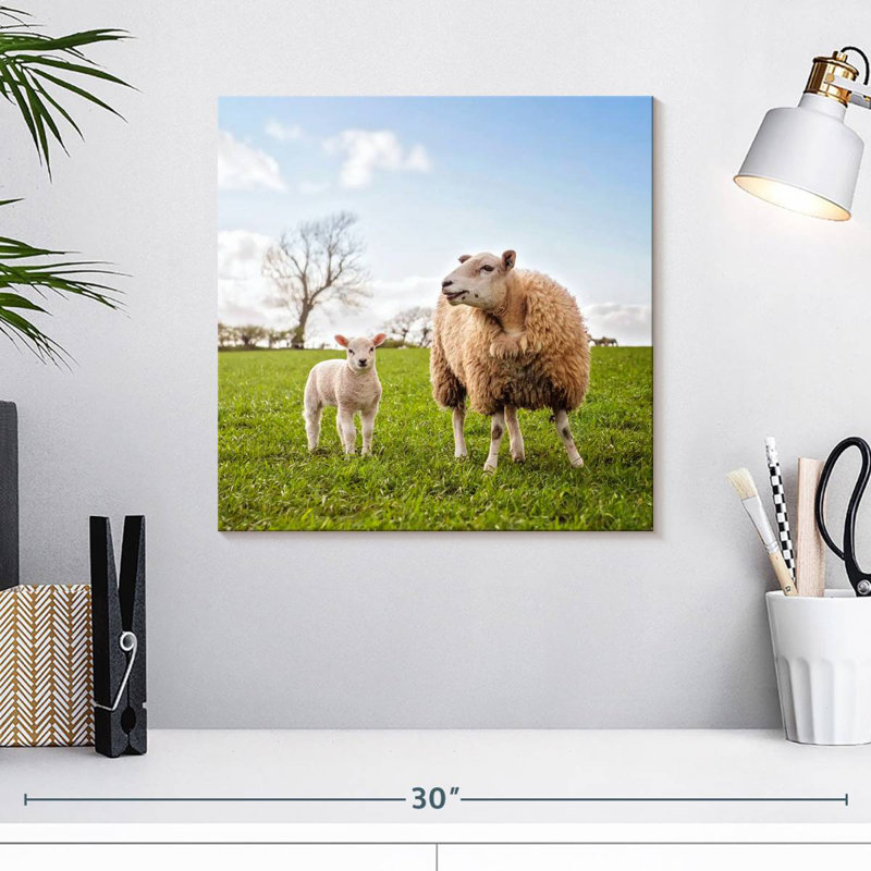 Crowle Sheep And Lamb, 16" H x 16" W