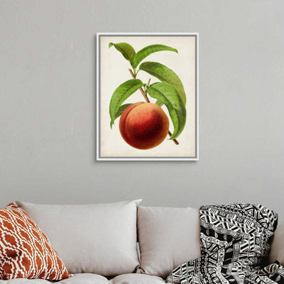 " Antique Fruit V " Painting Print