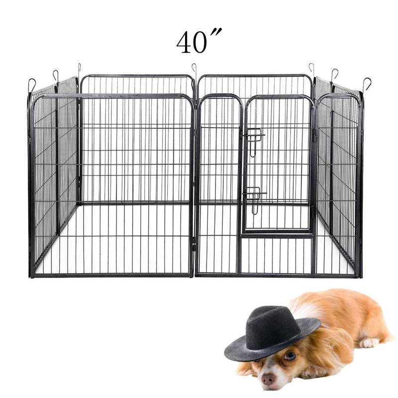 Crayon pour chien train, H 40 po