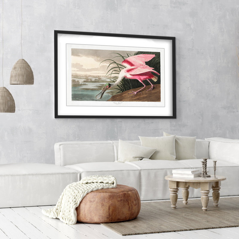 Nature Inspired Roseate Spoonbill From Birds Of America (1827), 30" H x 40" W