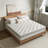 Alwyn Home Rehberg Medium Hybrid Mattress-1789040476-1762692486