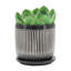 Ensemble de 2 pots Saucer