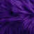 Mauve n'est pas disponible