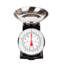 Innoteck Scale-71113507