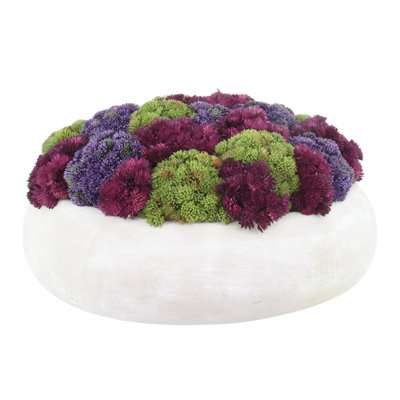 Sedum Arranged in a Stone Planter