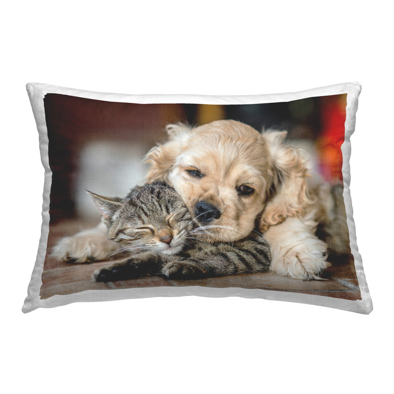 Coussin décoratif "Cuddling Puppy & Kitten" par Peter Cech