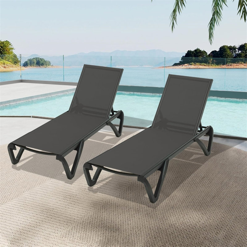 Ensemble de 2 chaises longues pour piscine, Gris foncé