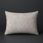 Gris / beige clair abstrait 1