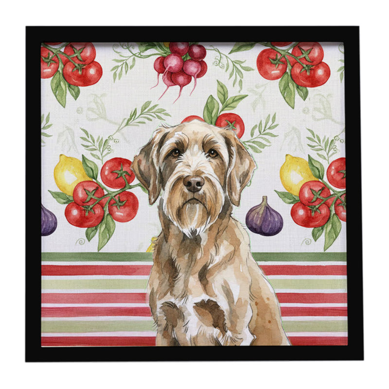 «Spinone Italiano Légumes», impression sur métal encadrée