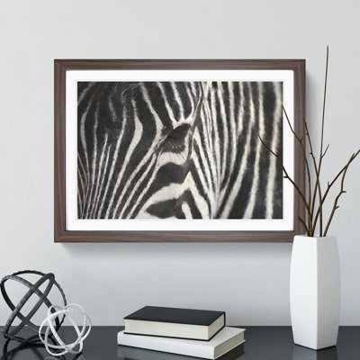 Zebra Vol.4 - Picture Frame Painting