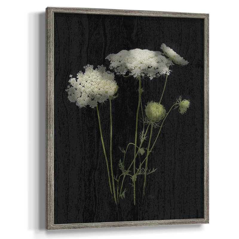 Queens Lace I, reproduction encadrée - bois massif 46638, H 21 po x l 17 po