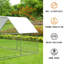 Adriell Walk In Chicken Run-905974993