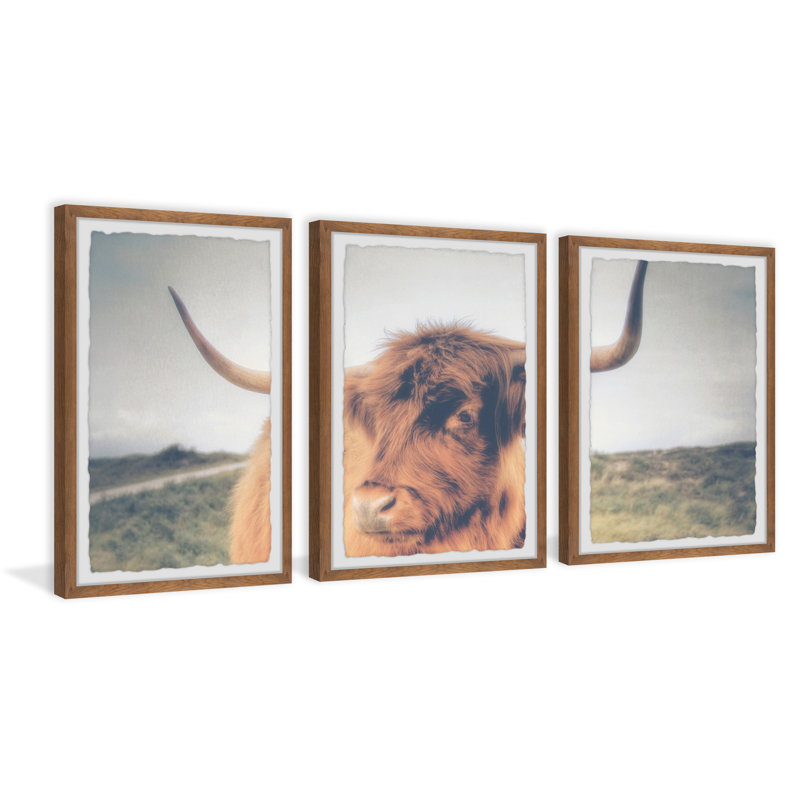 Summit Cow's Eye View - 3 Piece Single Picture Frame Print, 61cm H x 41cm W x 3.81" D