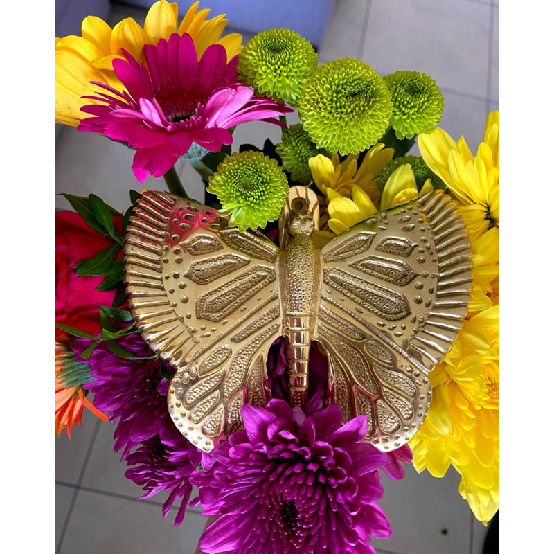 Nickel Butterfly Door Knocker, Brass