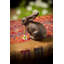 Lapin de lapin en fonte Tignall