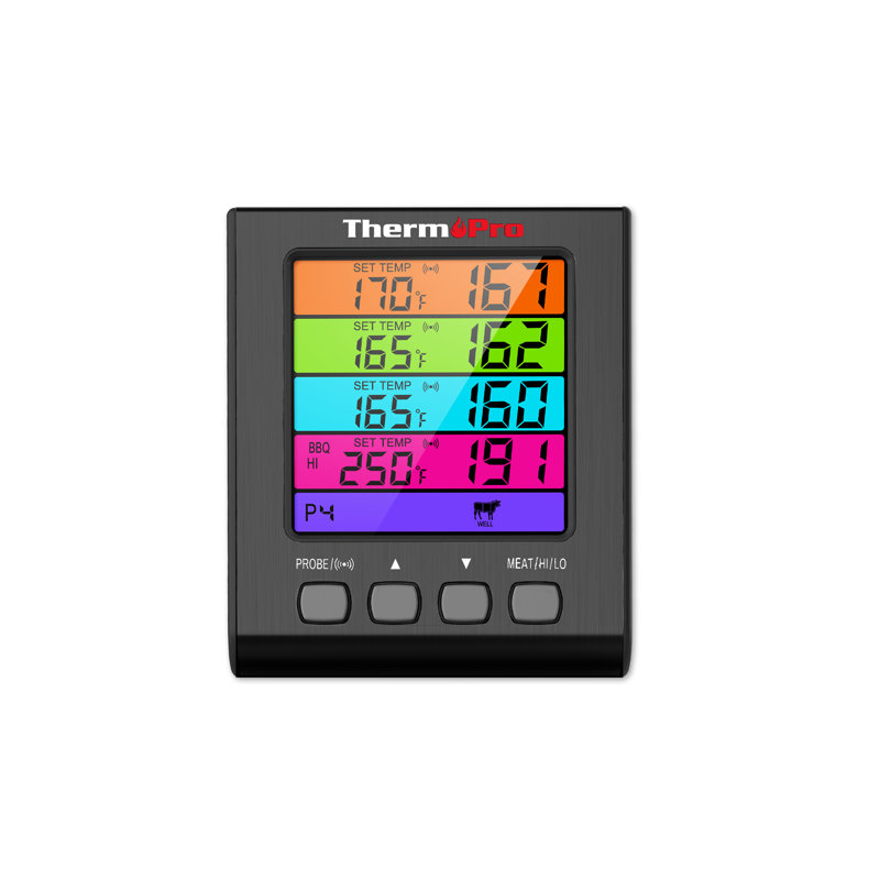 Black Digital Meat Thermometer with Color-Coded Probes