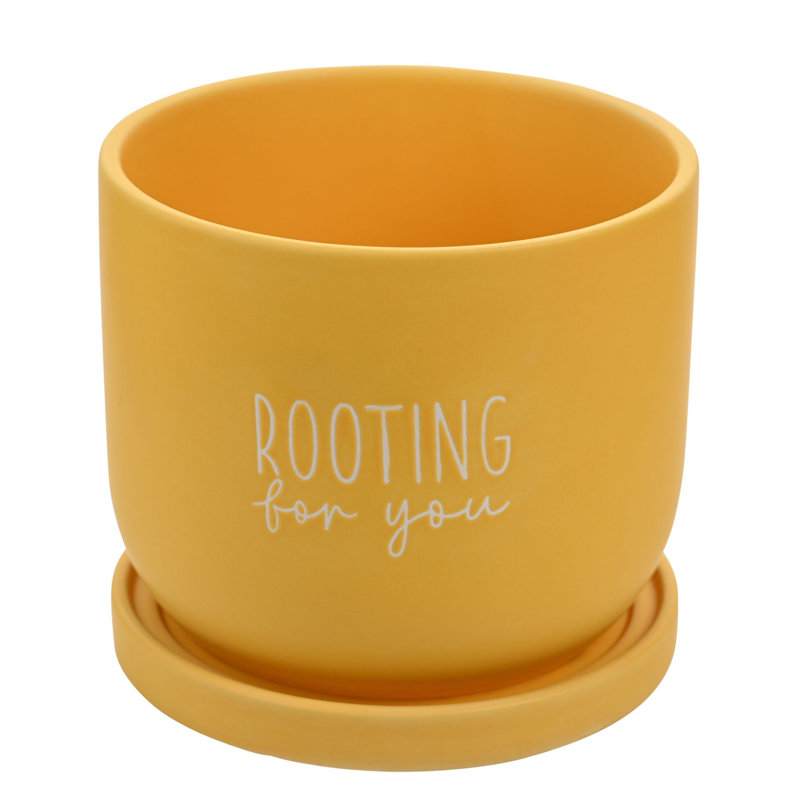 Labrecque Ceramic Pot Planter