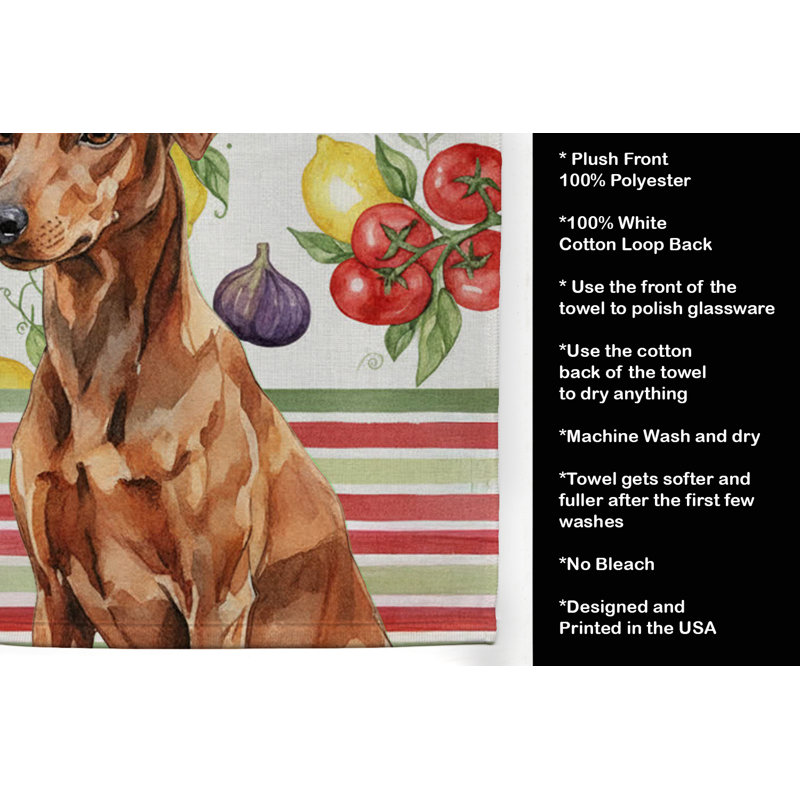 Torchon rouge allemand, Red German Pinscher