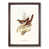 Walnut Framed