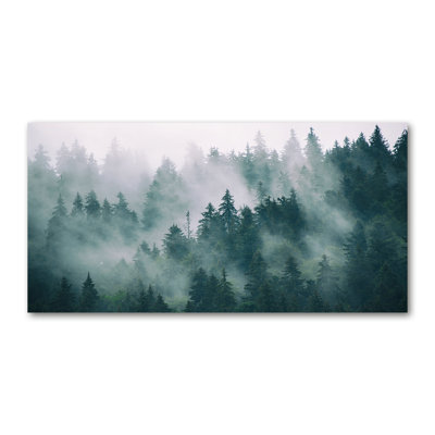 Fog Over The Forest - No Frame Print on Canvas