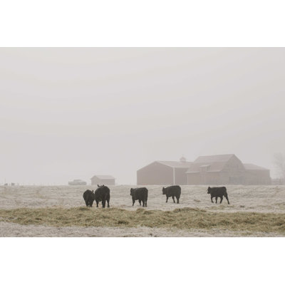Farm Farm IV