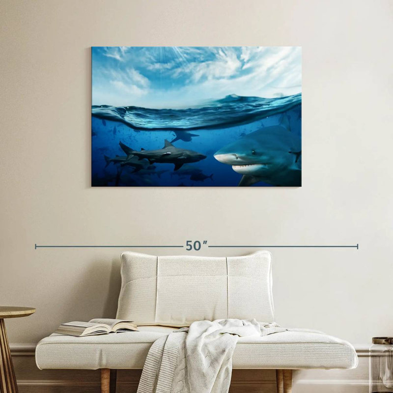 Shiver Of Sharks Sunshine, 26" H x 39" W