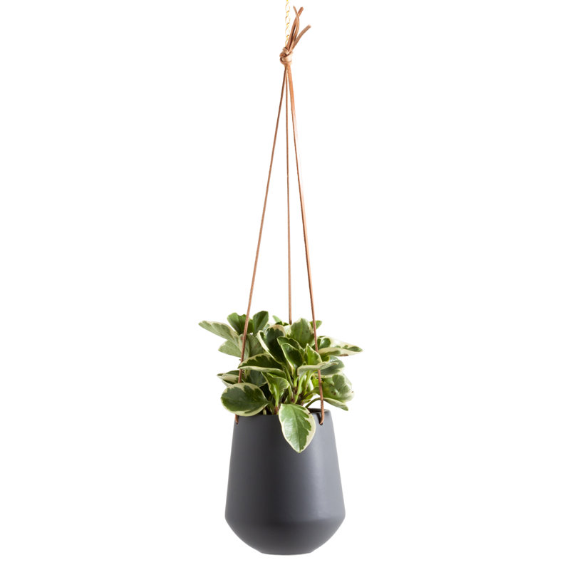 Pot de fleurs suspendu en porcelaine Ashbury, Gris