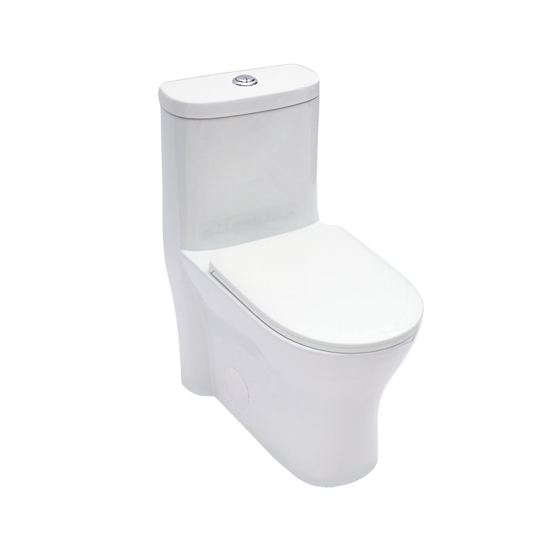 Ceramic One Piece Toilet for Bathroom, 12-inch Rough-In, 1.22/1.6 GPF, Dual Flush with Soft Clsoing Seat, Powerful Dual Flush MAP 800g