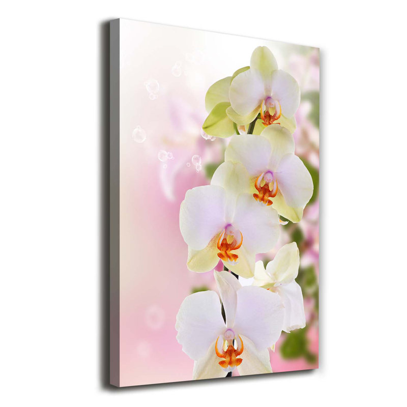White Orchid - Wrapped Canvas Print