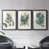 Black Framed selected