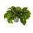 9'' Faux Pothos Plant in Planter