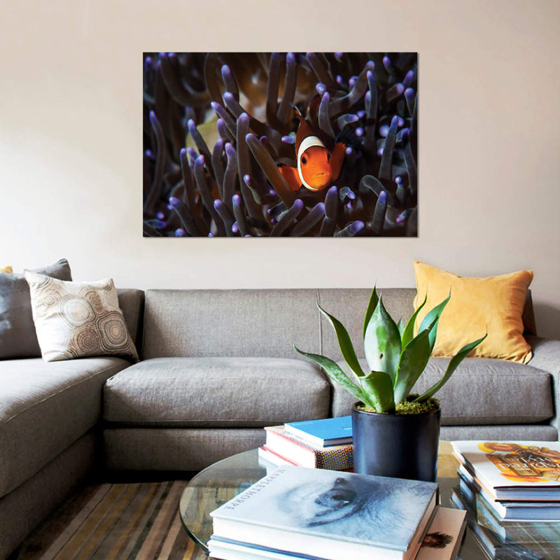 " A Clownfish " by Brook Peterson, 12" H x 18" W x 1.5" D, Wrapped Canvas, No Mat