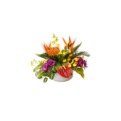 Arrangement in Pot