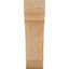 Attelle de genou olympique-29309934-31230592-31229630