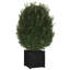 Alasiah Wood Planter Box-1696373206-1696373215