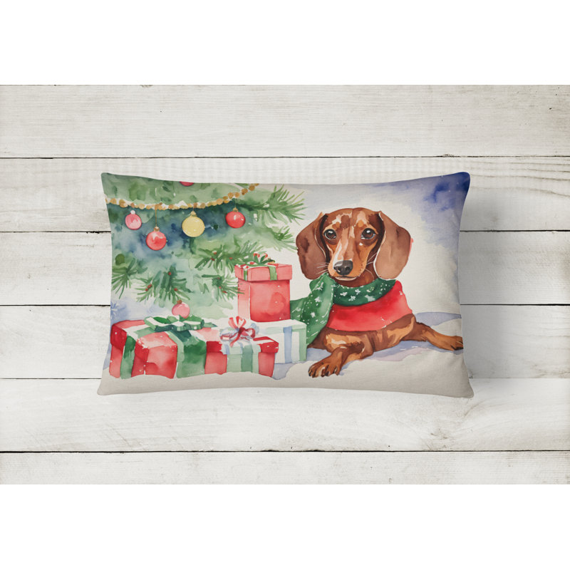 Other/No Pattern Outdoor Throw Pillow