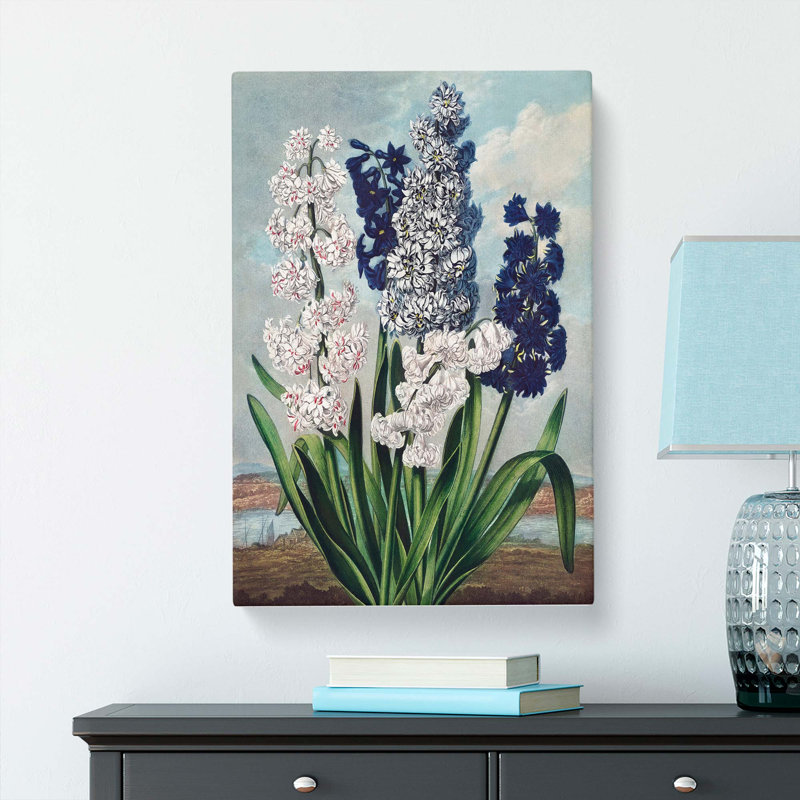 Hyacinths by R.J. Thornton - Wrapped Canvas Painting, 76cm H x 50cm W x 3cm D
