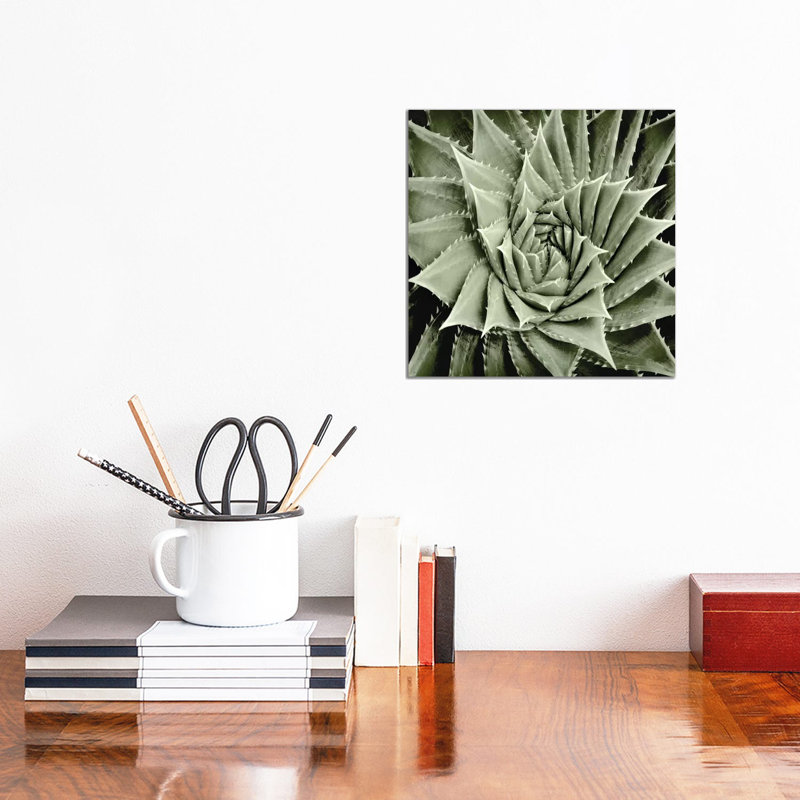 Green Succulent I 1 Piece Wrapped Canvas Wall Art, 30.48 cm H x 30.48 cm W