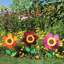 Tournesol 12 po Vicini-1270964327
