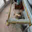 Customer photo 3 of 3