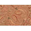 Tapis oriental brun clair en laine noué à la main 6 pi 3 po x 8 pi 10 po Baccio