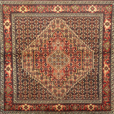 Southwestern Indoor Rug