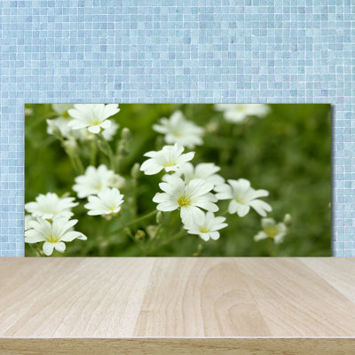 Linnae 50cm W x 100cm L Glass Peel and Stick Panel