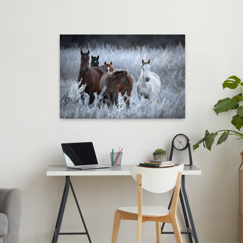 Art sauvage, chevaux sauvages, hiver, champ paisible, serein, cheval