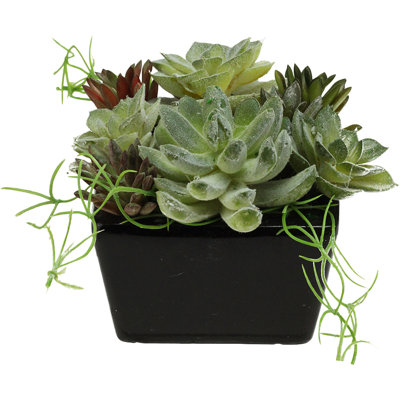 4.5" Green Potted Mixed Succulent Artificial Plant